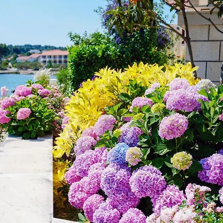 아파트 By The Sea Lumbarda, Korcula - 9325 룸바르다