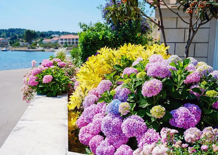 Apartment By The Sea Lumbarda, Korcula - 9325 Lumbarda